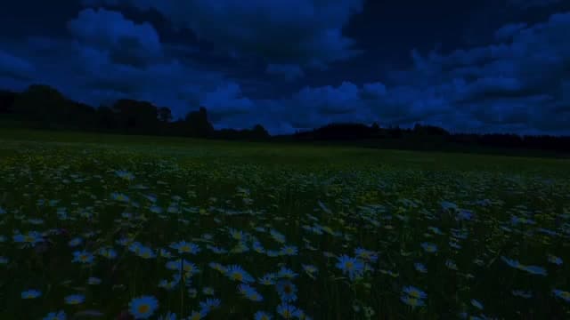 Background placeholder